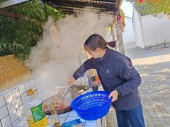 -同里国家湿地公园