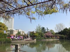 -嘉定紫藤园