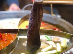 -白乐天毛肚火锅馆(南滨路店)