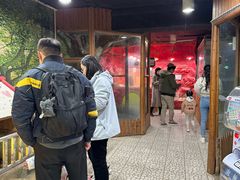 -上海大自然野生昆虫馆(东方明珠·爬宠昆虫探索中心)