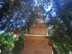 -兴教寺