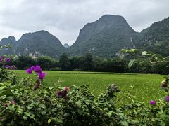 -明仕田园