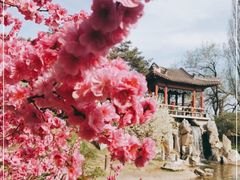 -国家植物园南园