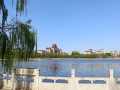 -莲花池公园