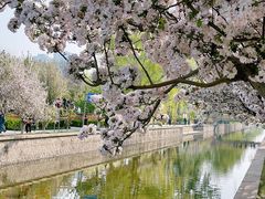 -海棠花溪(元大都城垣遗址公园)