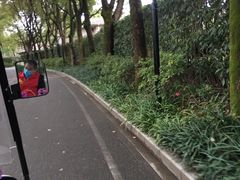 -提香别墅