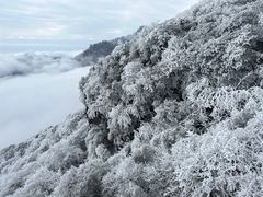-梵净山旅游区