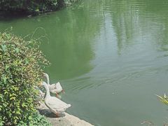 -水绘园