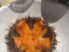 -上宴精品海鲜姿造(晶融汇旗舰店)