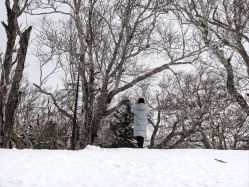 -大秃顶子山(雪谷店)