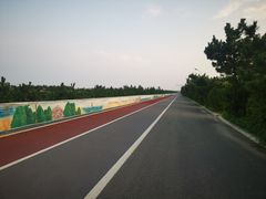 -日照海滨国家森林公园