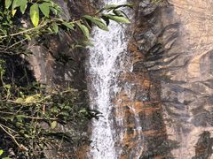 -广州白江湖森林公园