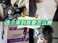 -骆驼日式搬家收纳整理