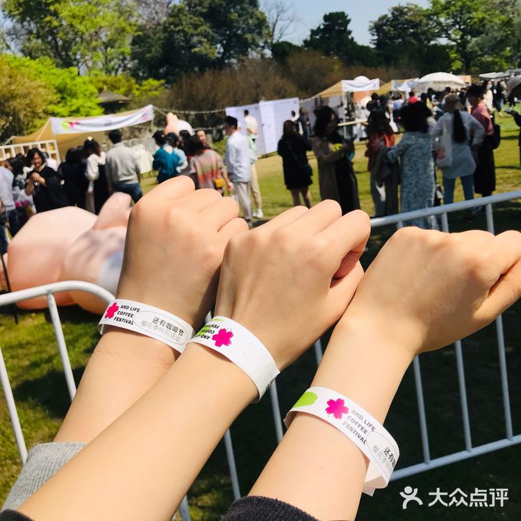 [糖果]玄武湖🌸咖啡节