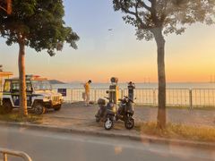 -宝安西湾红树林湿地公园