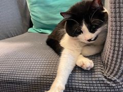 -路易时光(蕴川路店)