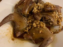 -百利鸽王(紫薇路店)