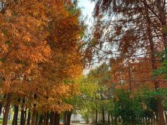 -浦星公路-路侧停车位