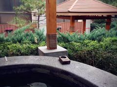 -顺景温泉