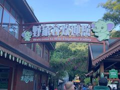 -野象谷景区