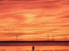 -南汇嘴观海公园