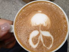 -Legno.ita Coffee by Wood(襄阳南路店)