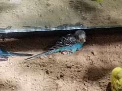 -酷嗒动物文化乐园(cutezoo西溪乐天城店)