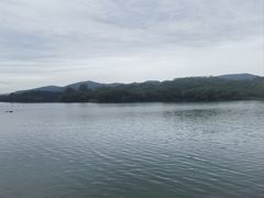 -佛手湖郊野公园