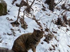 -终南山南五台景区