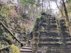 -梭布垭石林景区