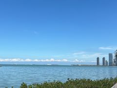 -万绿园