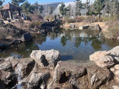 -郑州植物园