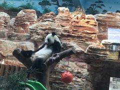 -石家庄市动物园