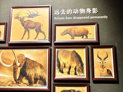 -大庆市博物馆