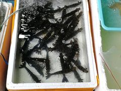 -霞涌市场海鲜摆卖区