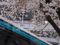 -南浦大桥长途旅游客运站