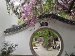 -深圳国际园林花卉博览园