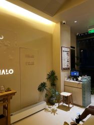 -Halo FLY运动空间
