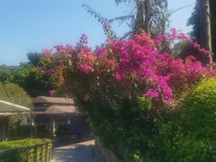 -海兰云天度假区温泉