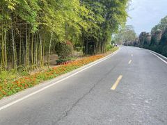 -东南花都花博园