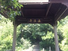 -龙井村