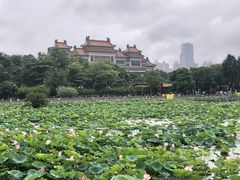-顺峰山公园