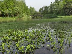 -西溪国家湿地公园