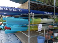 -WhaleSports户外水上运动俱乐部(朝阳公园店)