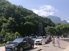 -青峰峡国家森林公园