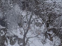 -鳌山滑雪度假区