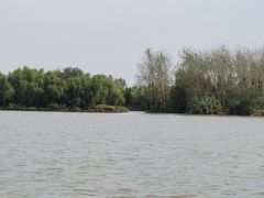 -溱湖国家湿地公园