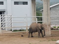 -大青山野生动物园