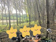 -东郊湿地公园