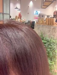 -Mentor Hair Salon